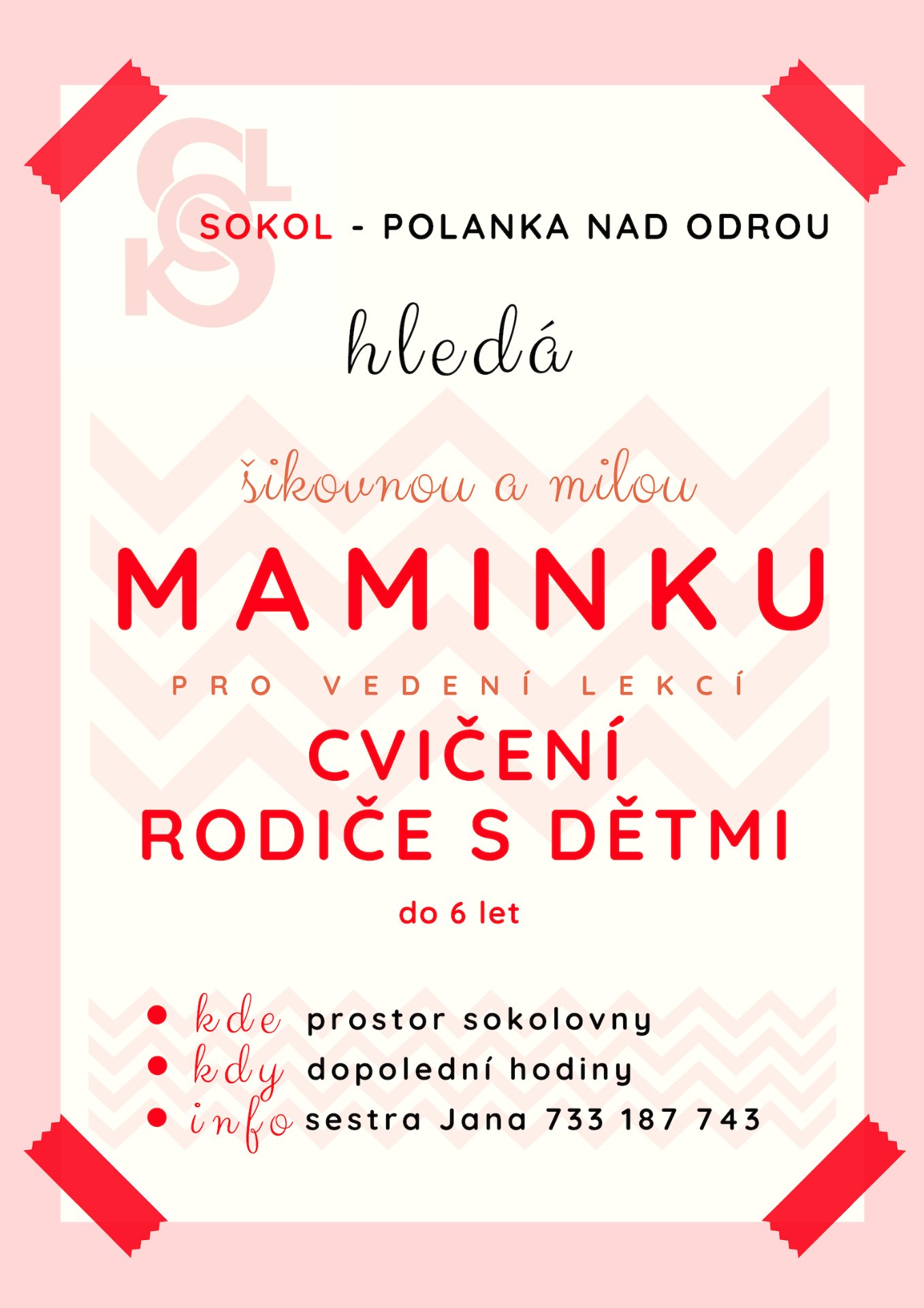 HLEDÁ SE MAMINKA S DÍTĚTEM...