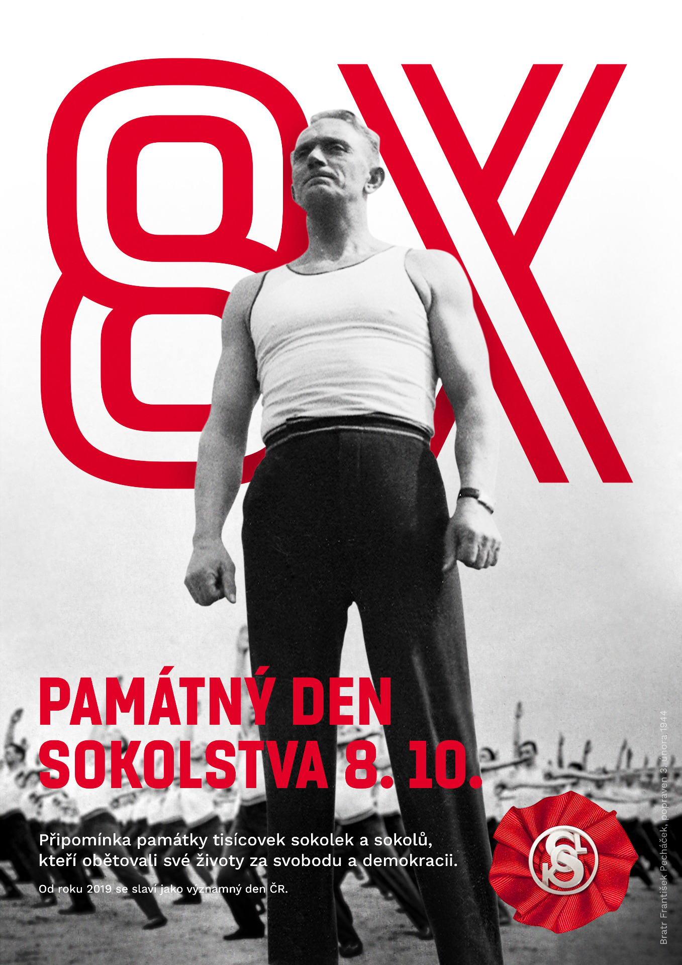 PAMÁTNÝ DEN SOKOLSTVA